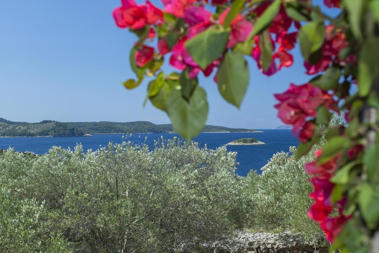 Stone House San Pelegrin Villa Vela Luka Exterior photo